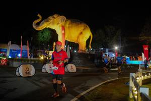 BIB: 
                            <button type="button" onclick="openModal(26552392)" class="btn btn-primary btn-sm float-right btn-popup" data-toggle="modal" data-target=".modal-high-quality">
                        <i class="fas fa-shopping-cart"></i> Add to Cart
                    </button>
                                            <button type="button" onclick="isThisMe(26552392, true)" class="btn btn-success btn-sm float-right btn-popup btn-isme hidden" data-toggle="tooltip" data-placement="bottom" title="นี่คือรูปของคุณใช่ไหม คลิกที่นี่เพื่อเอาเข้าอัลบั้ม">
                        <i class="fas fa-plus"></i> Add to album
                    </button>
                    <button type="button" onclick="isThisMe(26552392, false)" class="btn btn-warning btn-sm float-right btn-popup btn-isnotme hidden">
                        <i class="fas fa-ban"></i> Remove from album
                    </button>